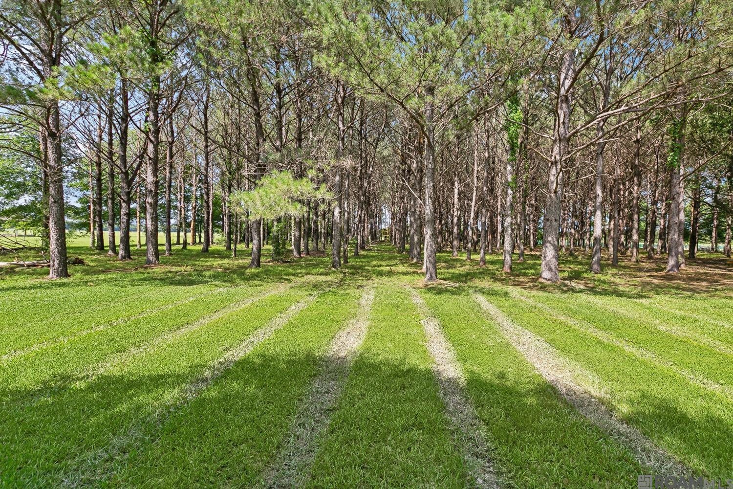 35201 Cane Market Rd, Denham Springs, Louisiana image 37