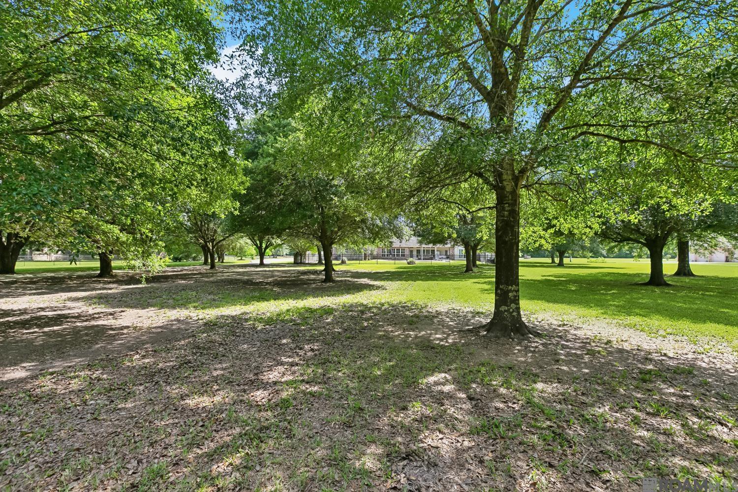 35201 Cane Market Rd, Denham Springs, Louisiana image 38