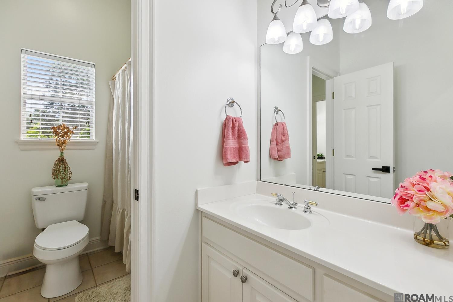 35201 Cane Market Rd, Denham Springs, Louisiana image 22