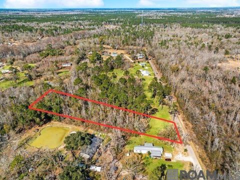 Vacant Land For Sale - TBD Carthage Bluff Rd<br/> Springfield, LA 70462