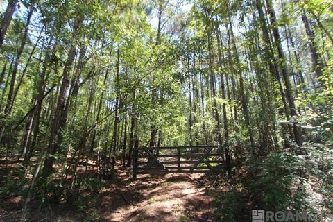 Vacant Land For Sale - Aunt Margies Road<br/> Saint Helena County, Greensburg, LA 70441