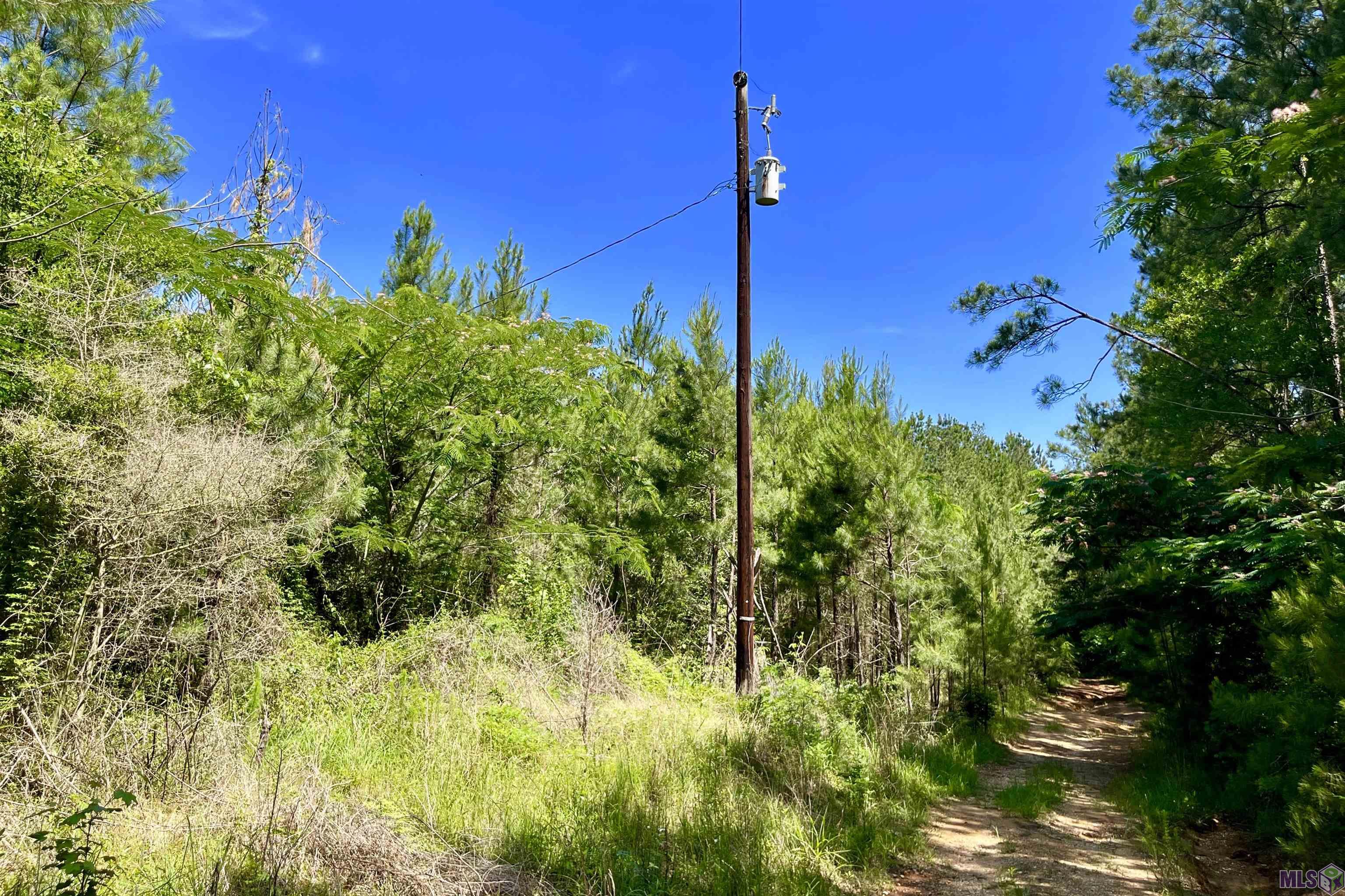 Ellis H Ln, Greensburg, Louisiana image 3