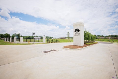 Vacant Land For Sale - 87 Silver Creek Ct<br/> Prairieville, LA 70769