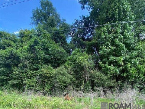 Vacant Land For Sale - 36648 La Hwy 16<br/> Denham Springs, LA 70706