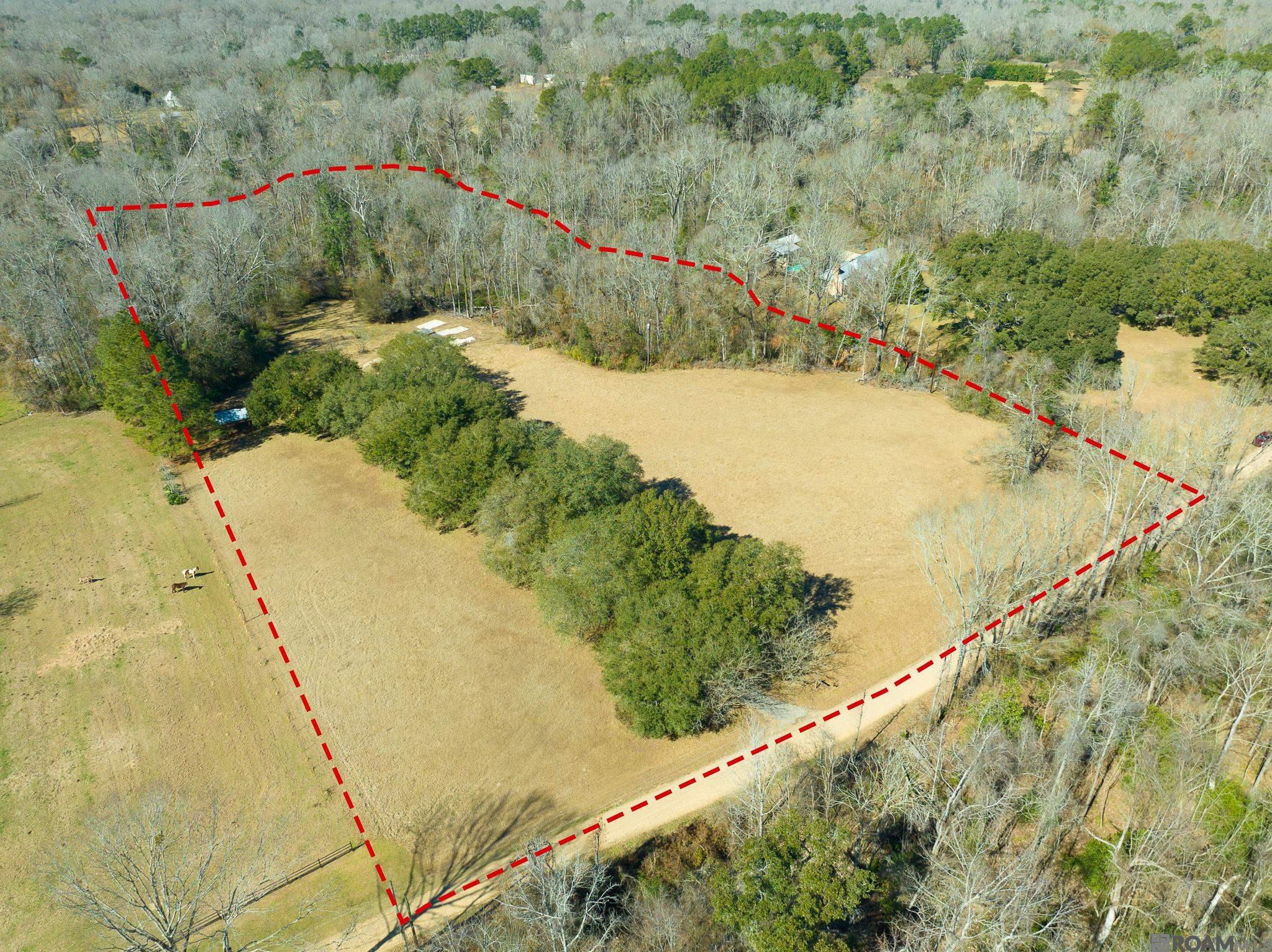 4993 Daniel Porche Rd, Saint Francisville, Louisiana image 3