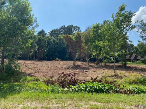 Vacant Land For Sale - 18383 Amite Acres Dr<br/> Ascension County, Prairieville, LA 70769