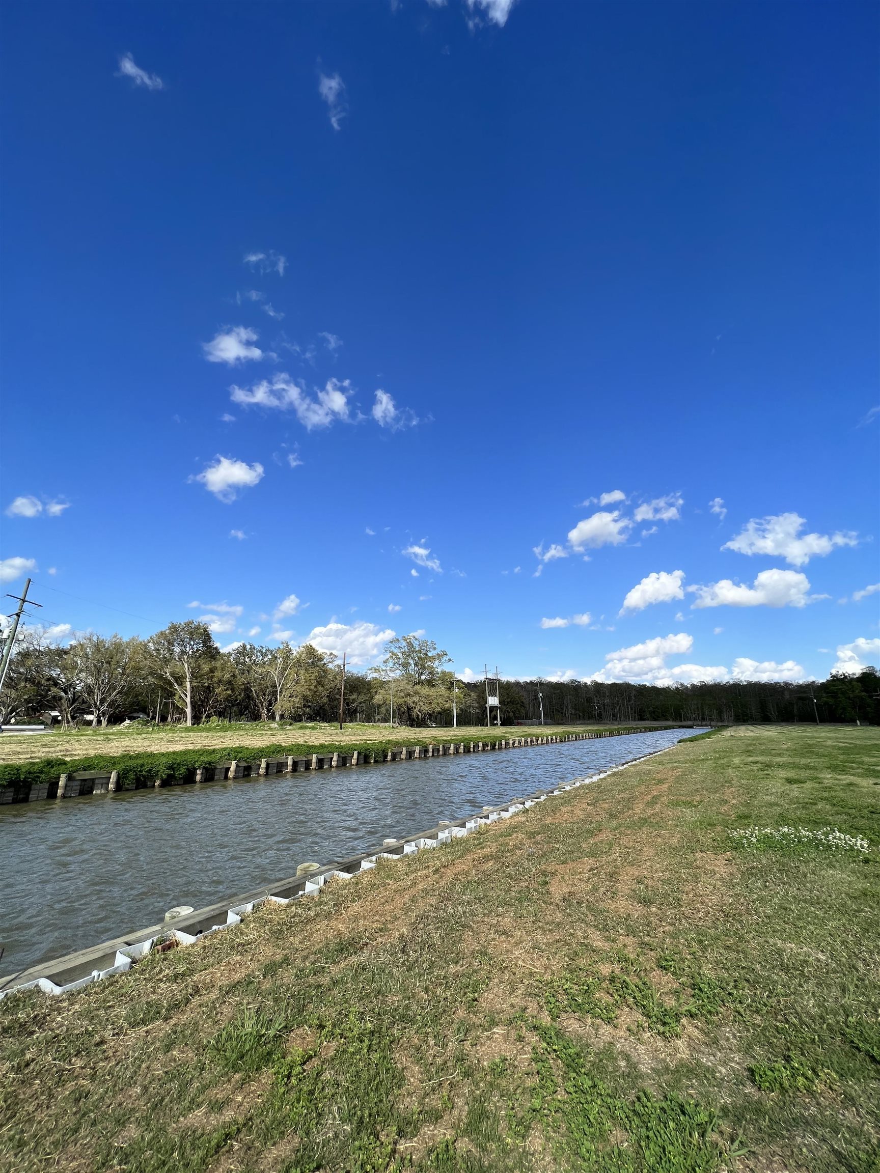 100 Michel Rd, Pierre Part, Louisiana image 8