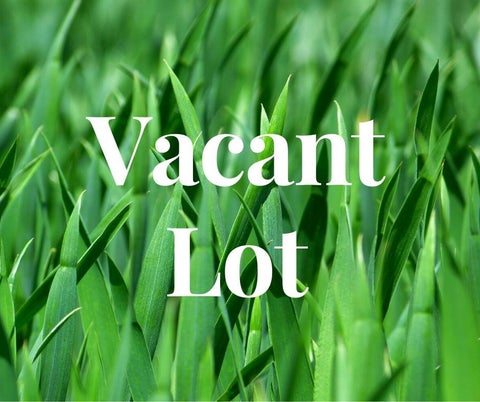 Vacant Land For Sale - LOT 15 Veterans Blvd<br/> Denham Springs, LA 70726