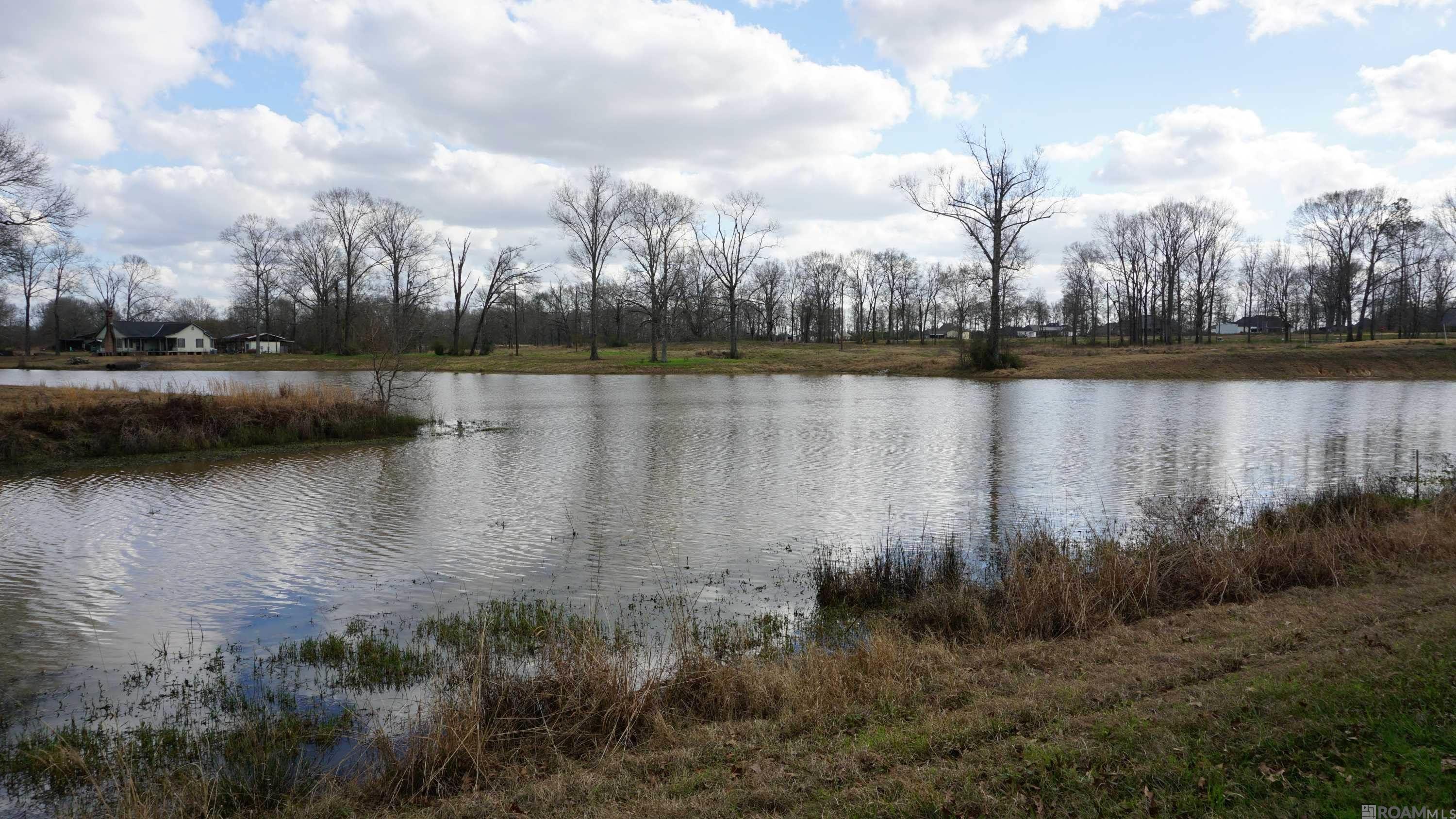 GranLake Lot 1 La Hwy 68, Jackson, Louisiana image 29