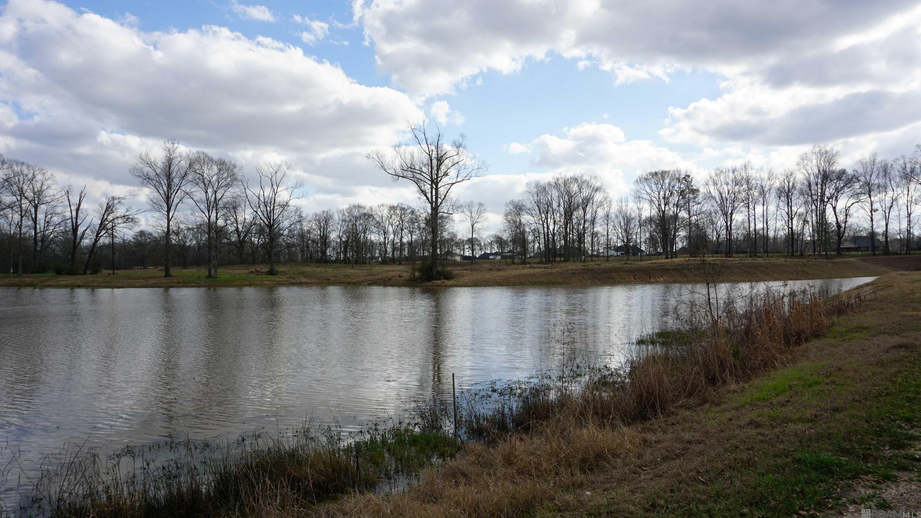 GranLake Lot 1 La Hwy 68, Jackson, Louisiana image 30