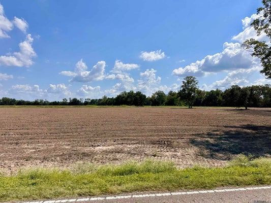 STATE RTE 22, DARROW, LA 70725 - Image 2707db9e99c863ff2bbbcd6fbbcdce91/2420345150