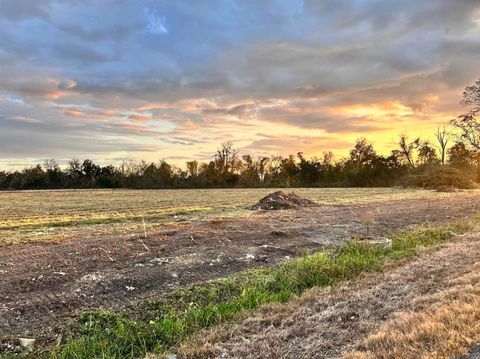 Vacant Land For Sale - LOT #4 La Hwy 22<br/> Darrow, LA 70725