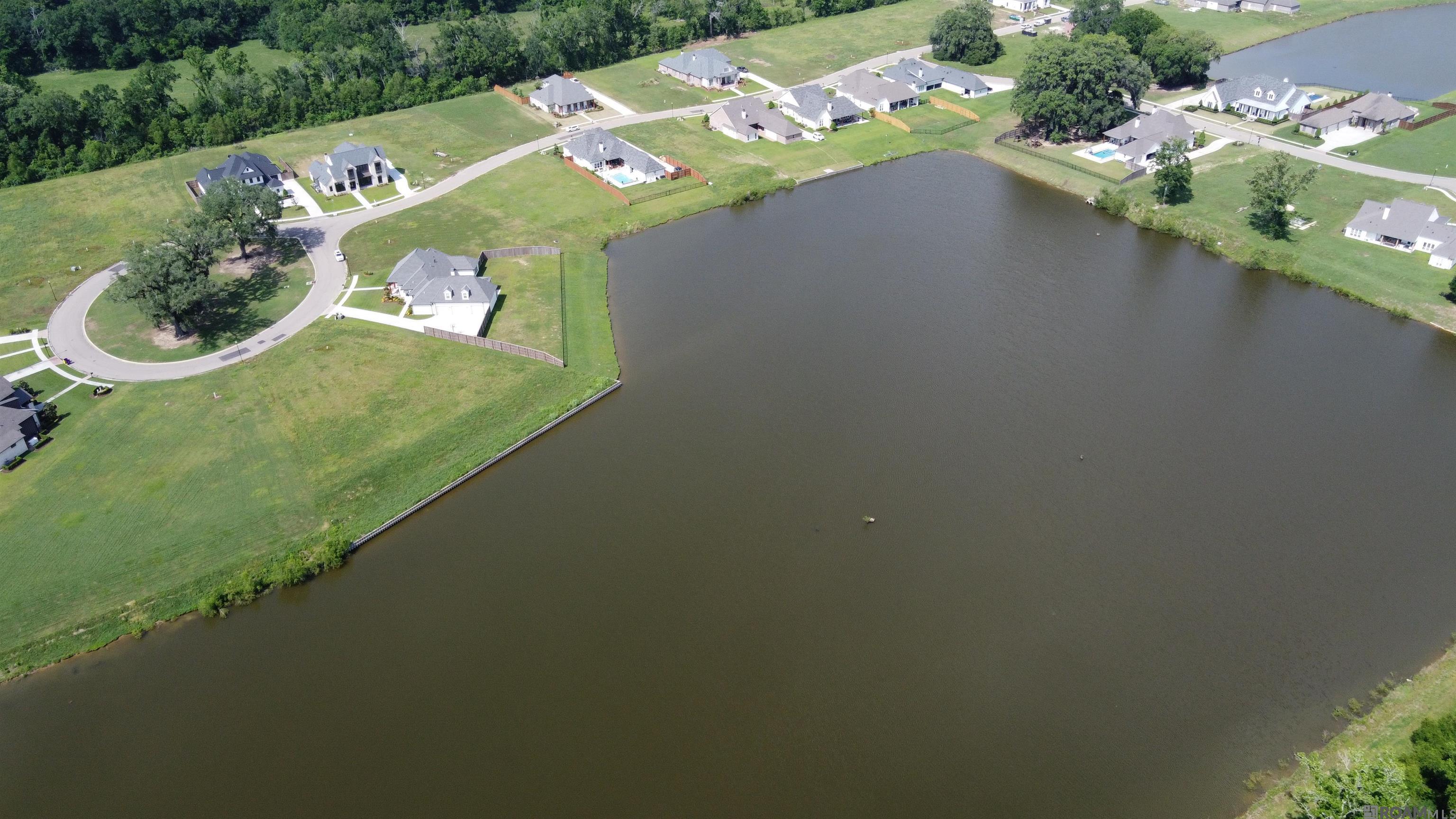 36131 Westin Ridge Dr, Geismar, Louisiana image 8