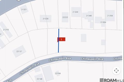 Vacant Land For Sale - 22222 Chinquapin Ave<br/> Maurepas, LA 70449