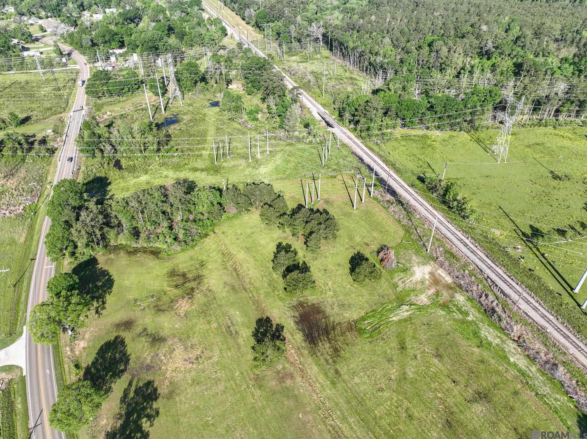 11545 Burgess Ave, Walker, Louisiana image 3