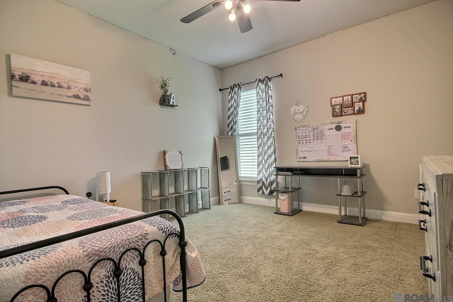 23455 Odette Ave, Denham Springs, Louisiana image 20