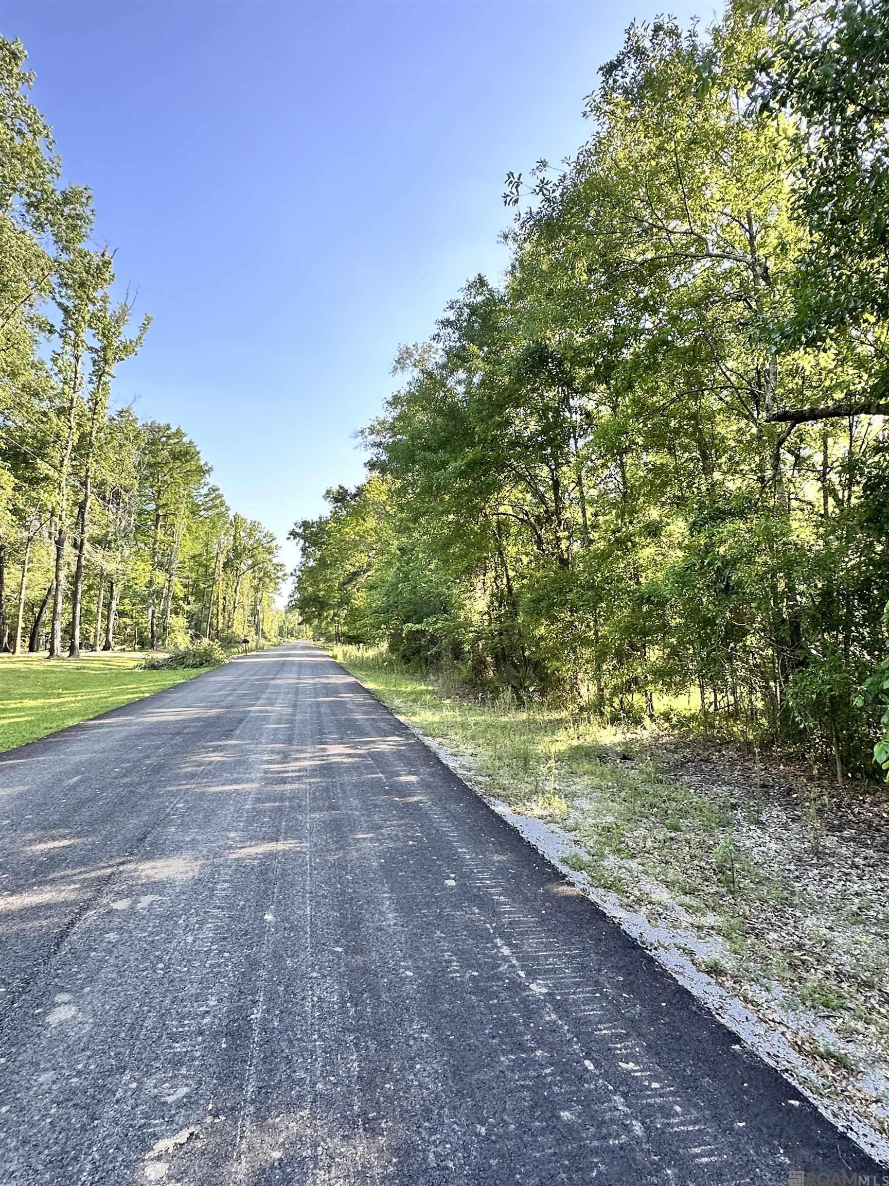 Lot #30-A Summerfield South Rd, Prairieville, Louisiana image 8