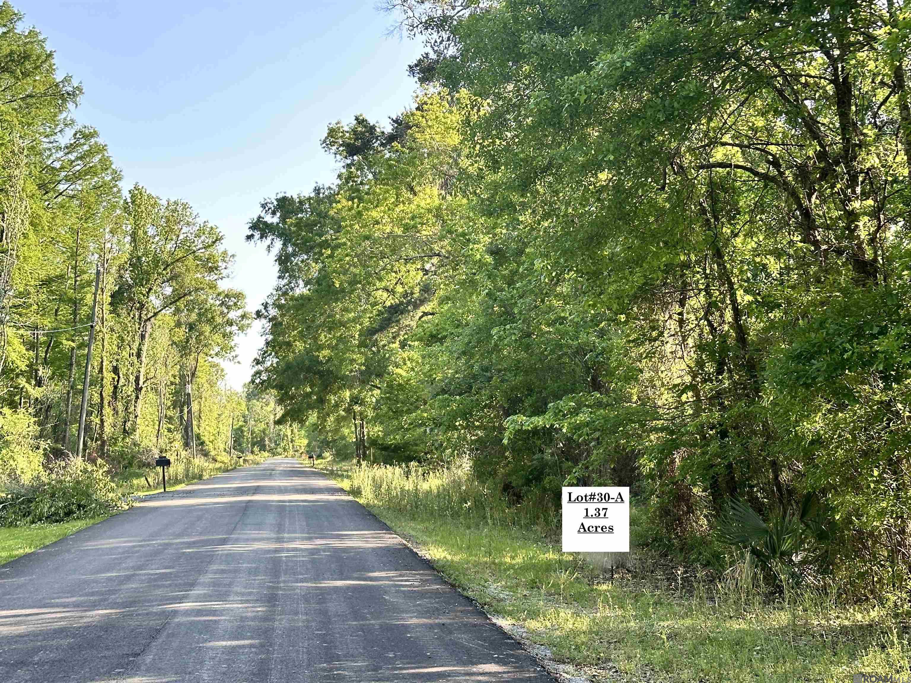Lot #30-A Summerfield South Rd, Prairieville, Louisiana image 1