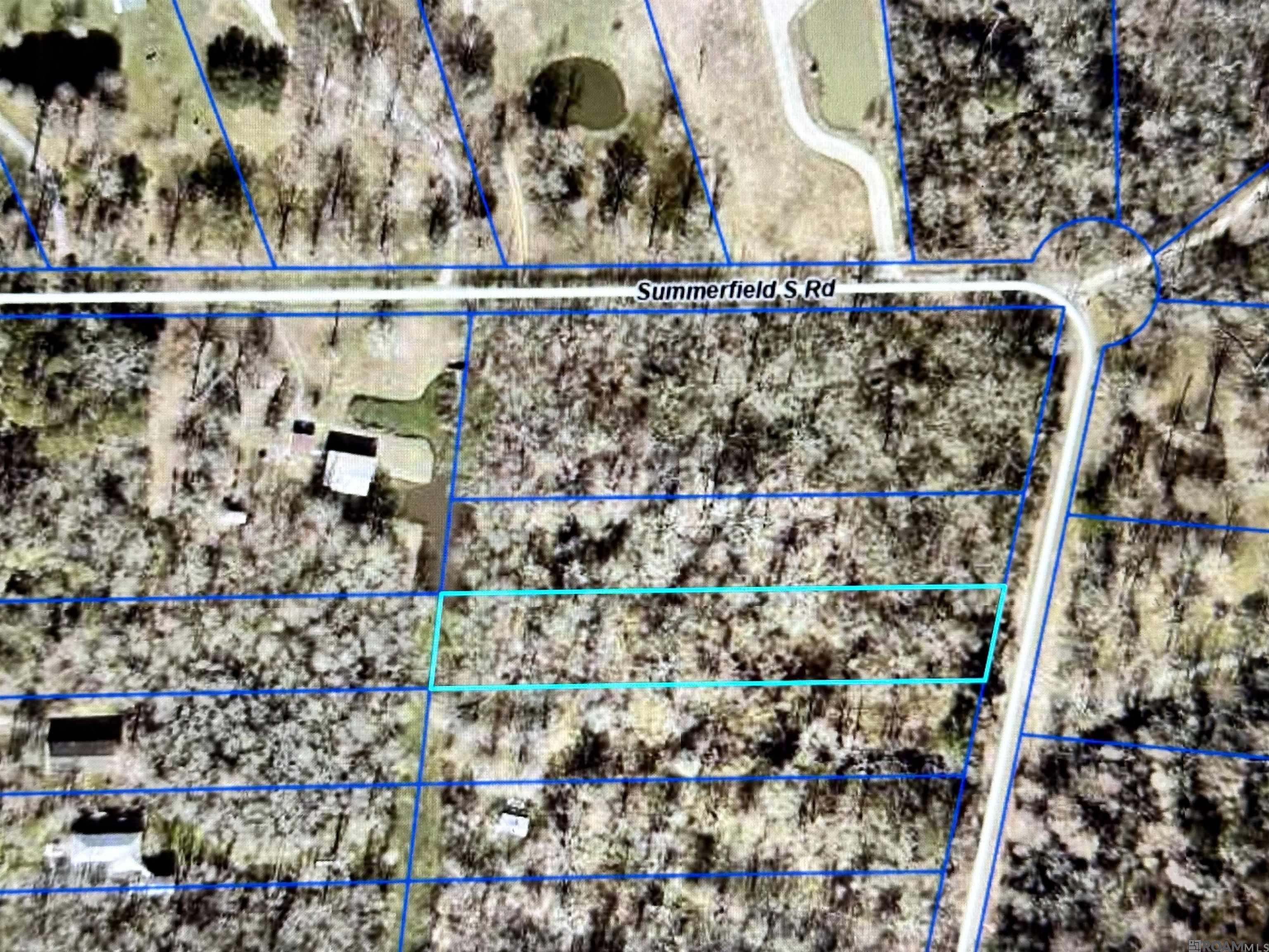 Lot #30-A Summerfield South Rd, Prairieville, Louisiana image 6