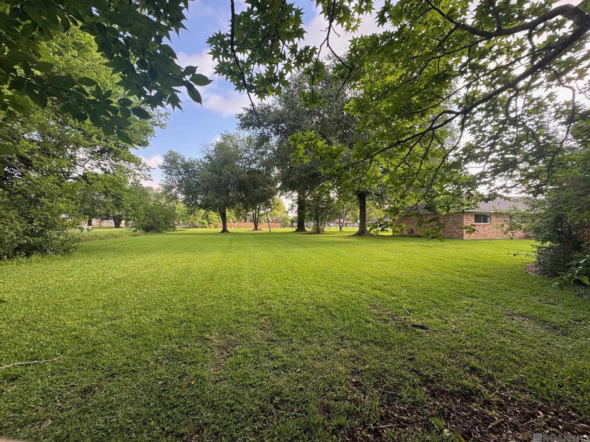 37037- LOT 1-B John St, Geismar, Louisiana image 1