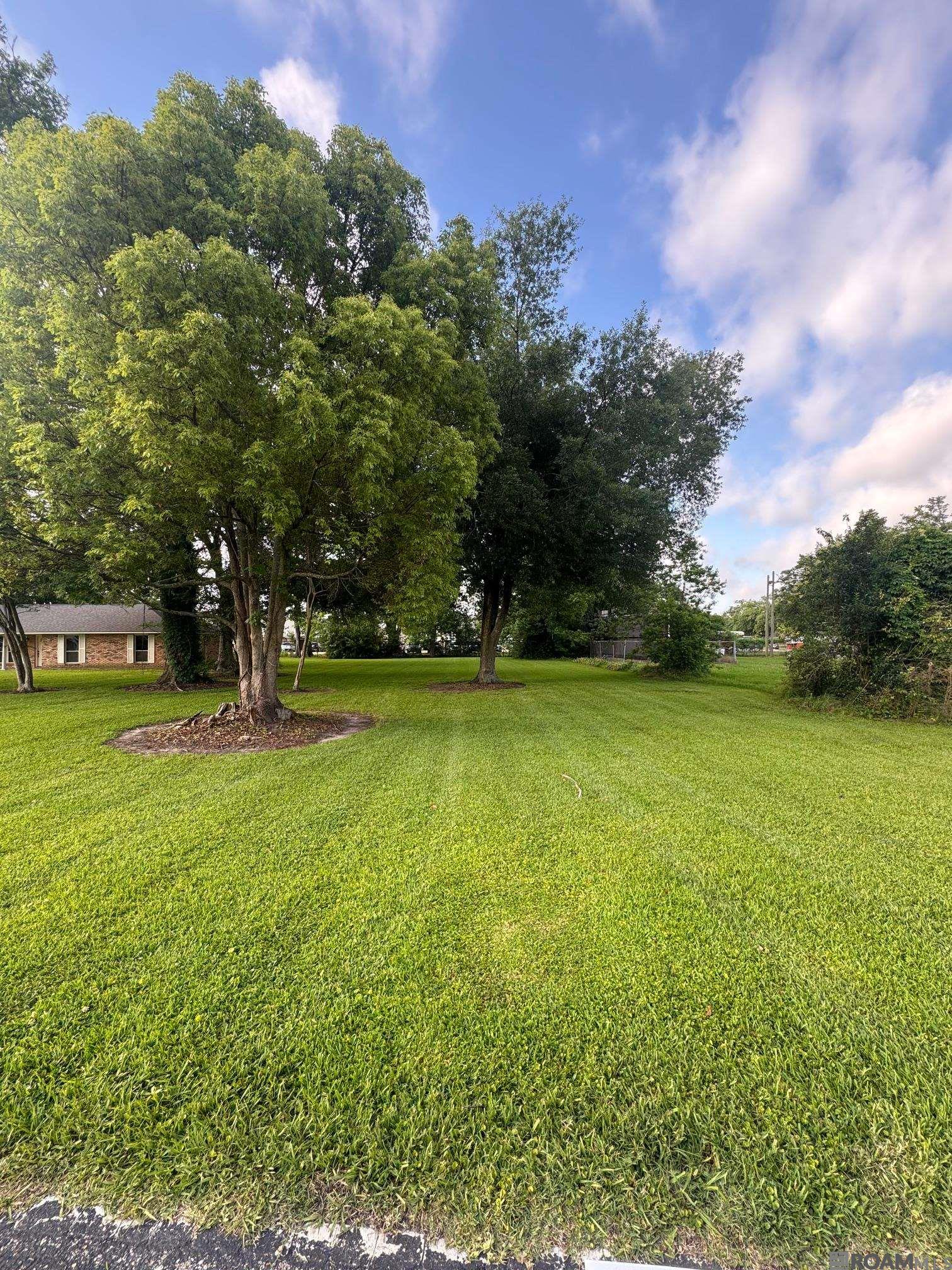 37037- LOT 1-B John St, Geismar, Louisiana image 3