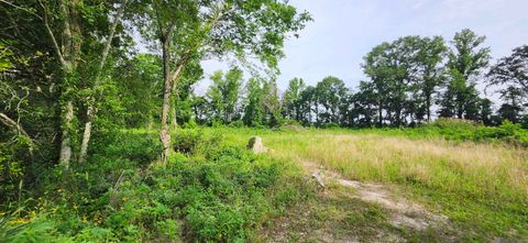 Vacant Land For Sale - 1-X-1 Griffin Ct<br/> Baker, LA 70714