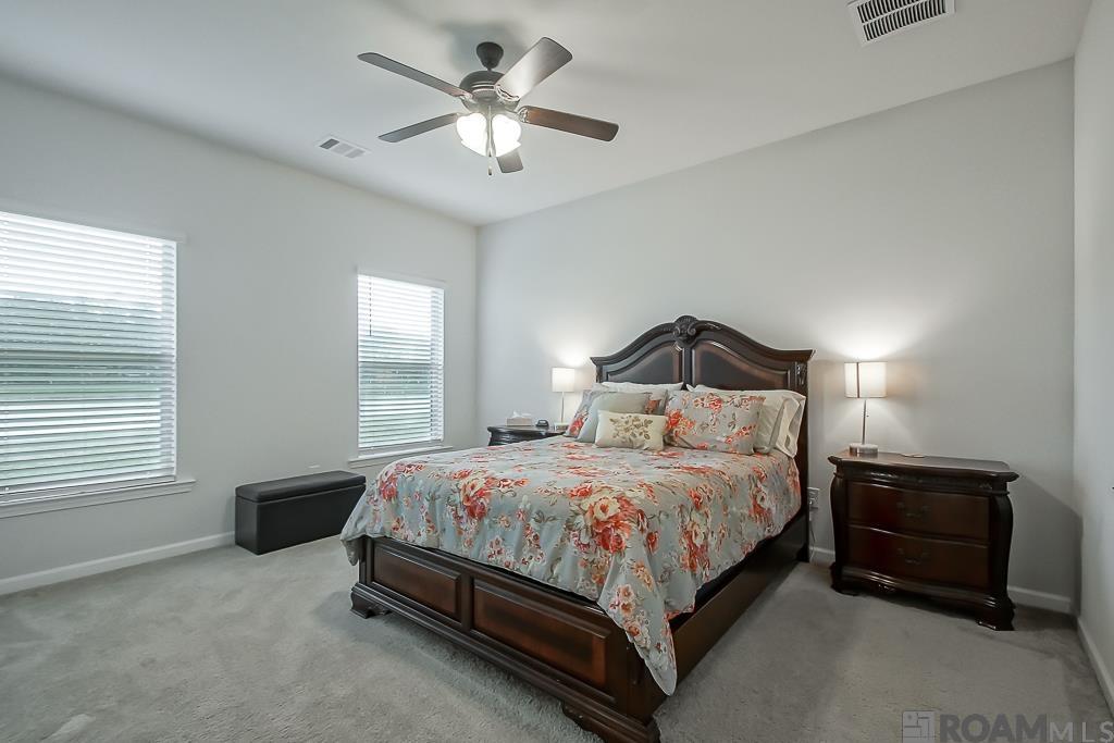 14040 Colt Dr, Denham Springs, Louisiana image 9