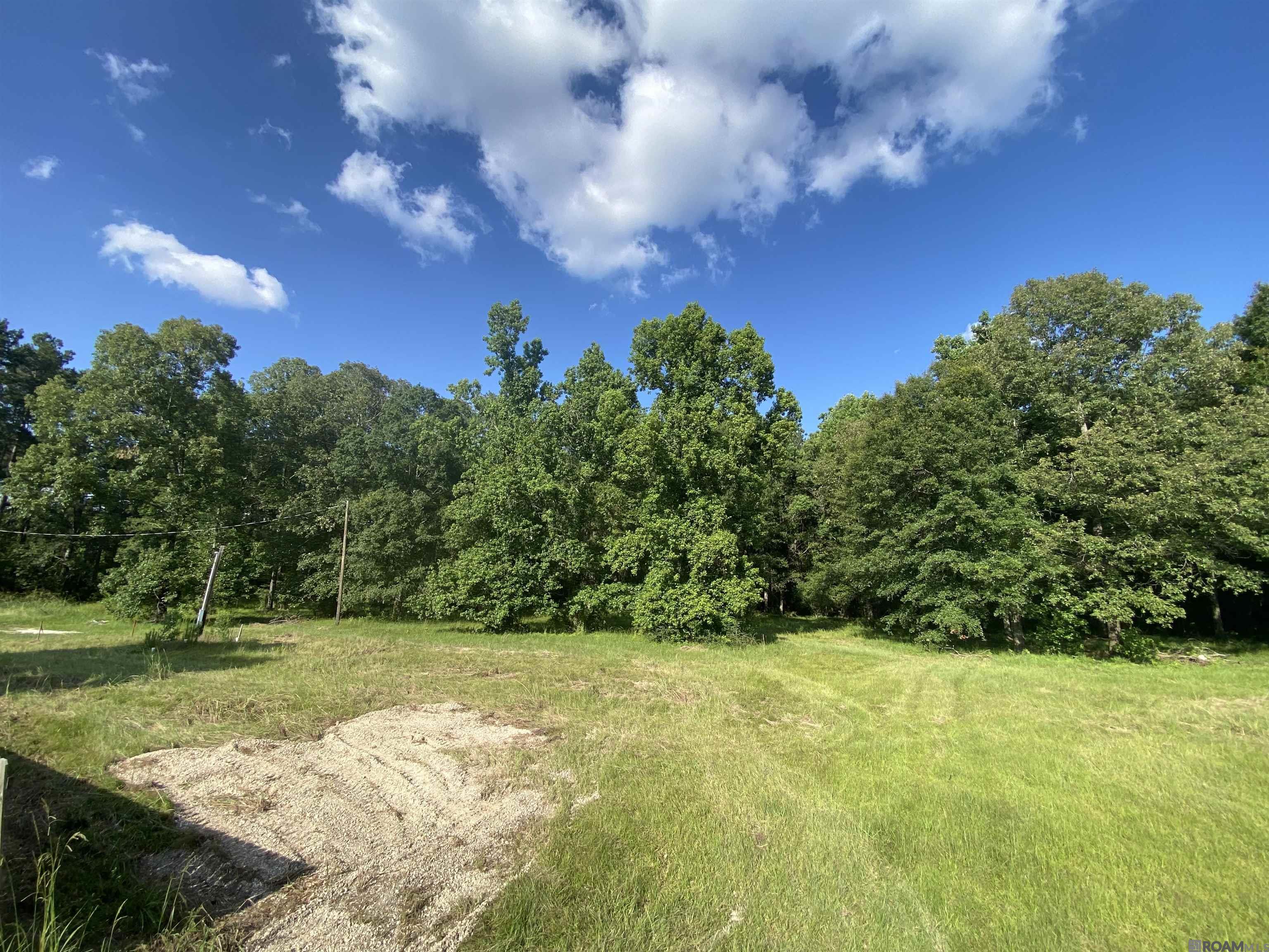26846 Kelli Dr, Denham Springs, Louisiana image 2