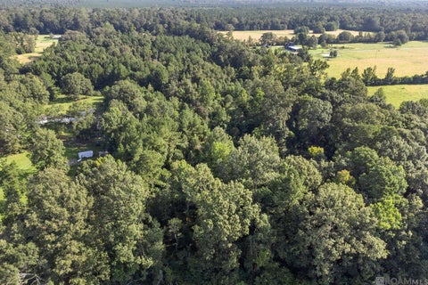 Vacant Land For Sale - TBD Port Hudson Pride Rd<br/> East Baton Rouge County, Pride, LA 70770