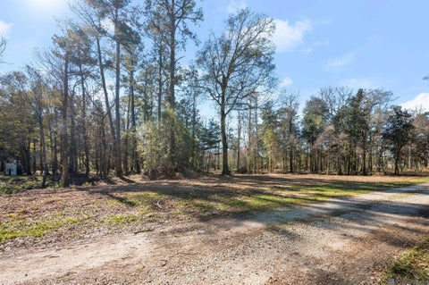 Vacant Land For Sale - 12234 Whitetail Ln<br/> Walker, LA 70785