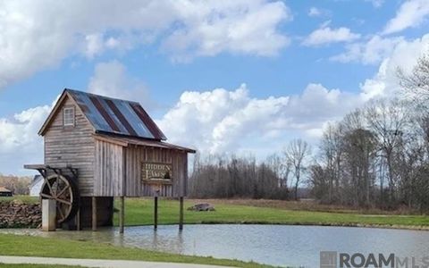 Vacant Land For Sale - 43262 Collyns Cove<br/> Ascension County, Prairieville, LA 70769