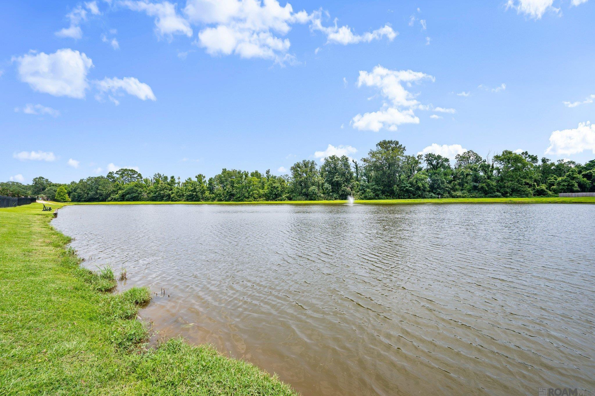 18380 Lake Harbor Ln, Prairieville, Louisiana image 28