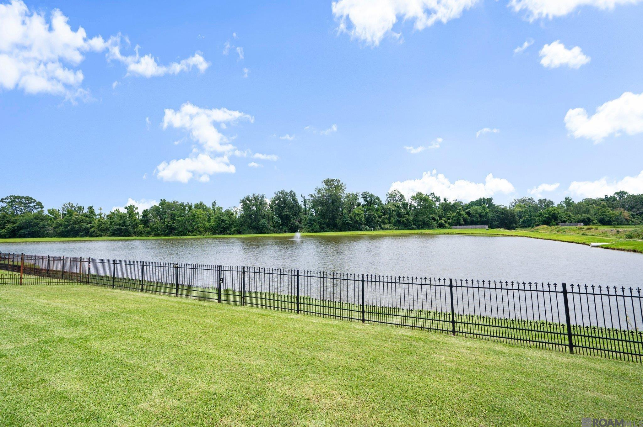 18380 Lake Harbor Ln, Prairieville, Louisiana image 33