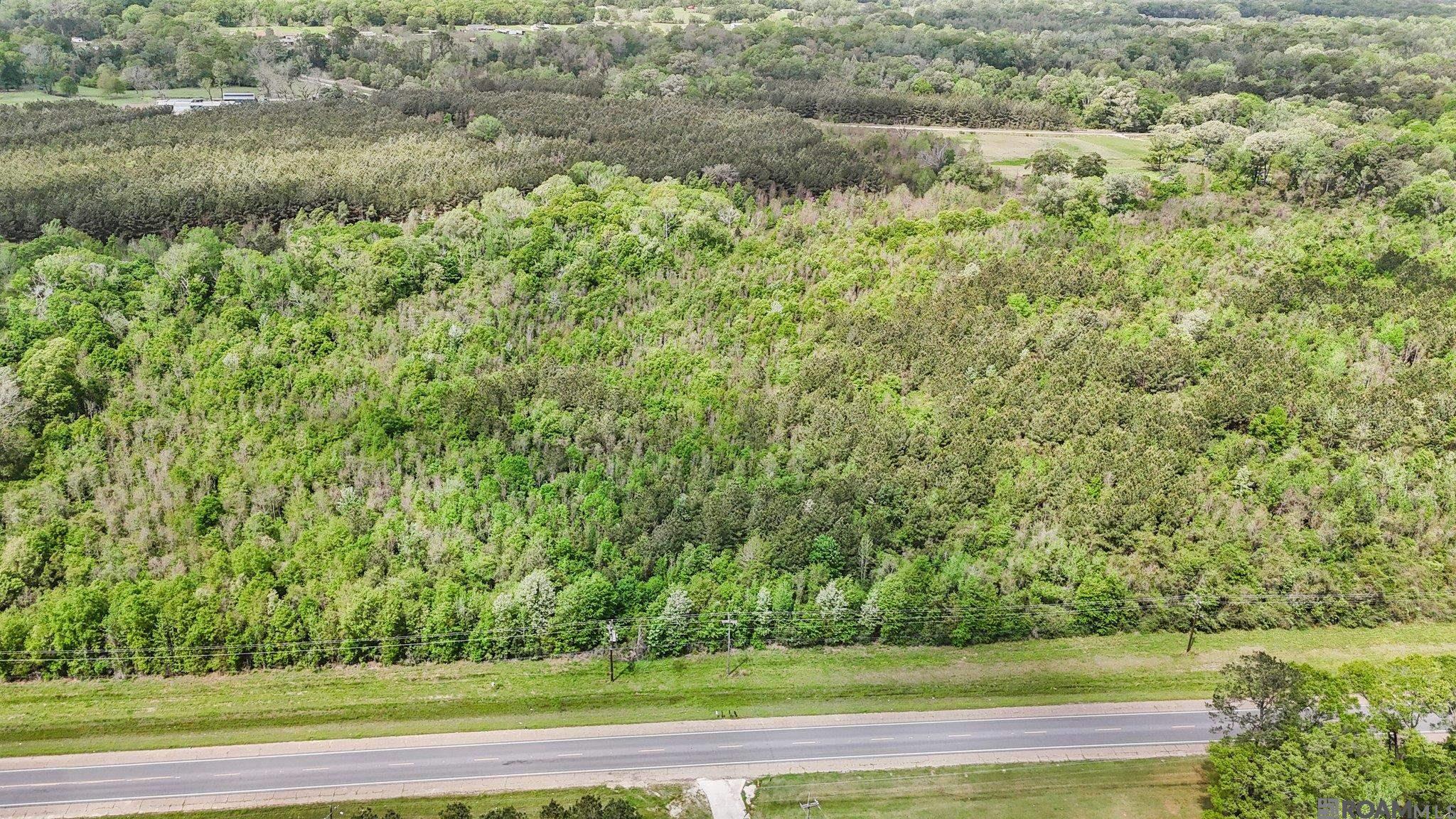 Tbd Plank Rd, Zachary, Louisiana image 3