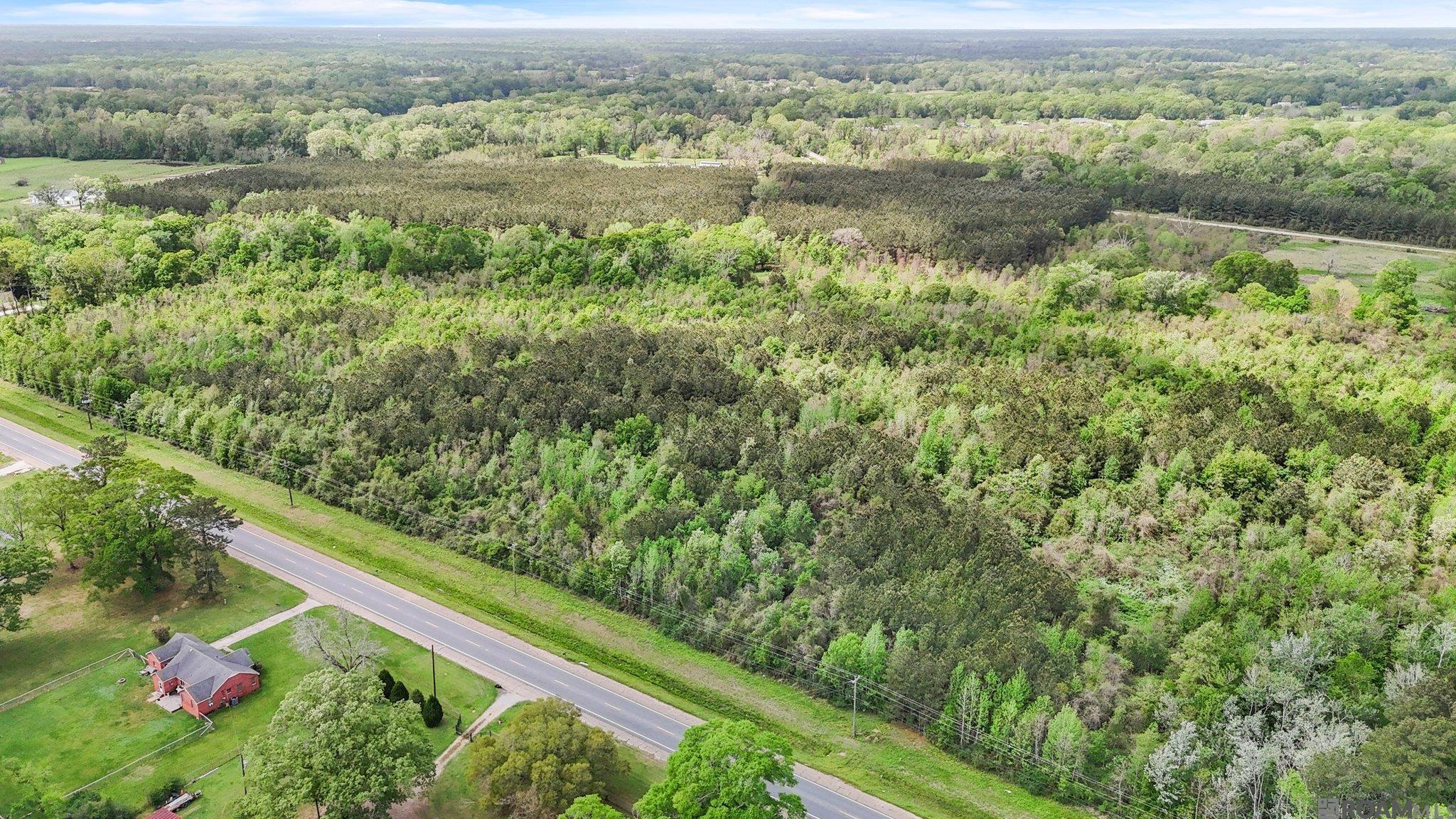 Tbd Plank Rd, Zachary, Louisiana image 5