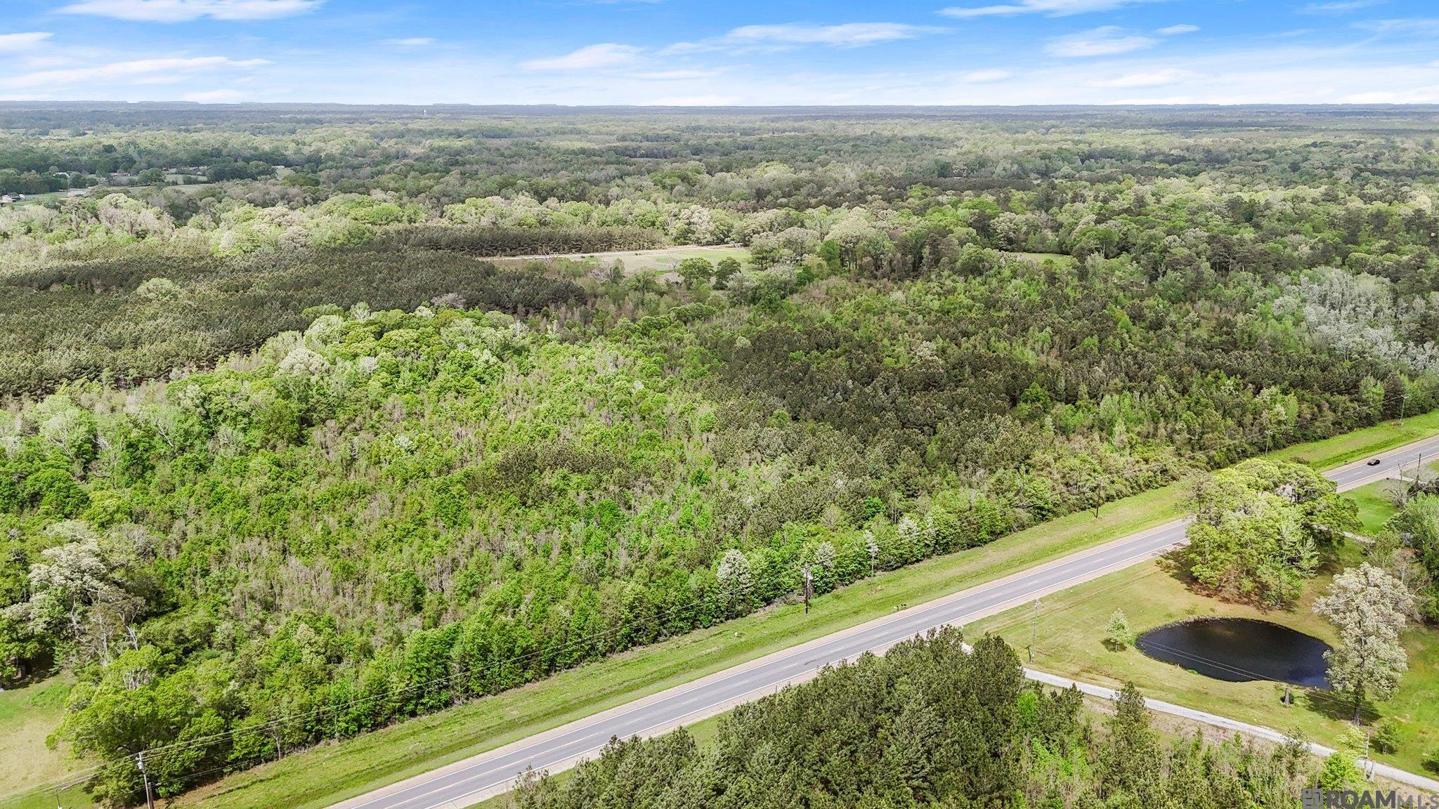 Tbd Plank Rd, Zachary, Louisiana image 6