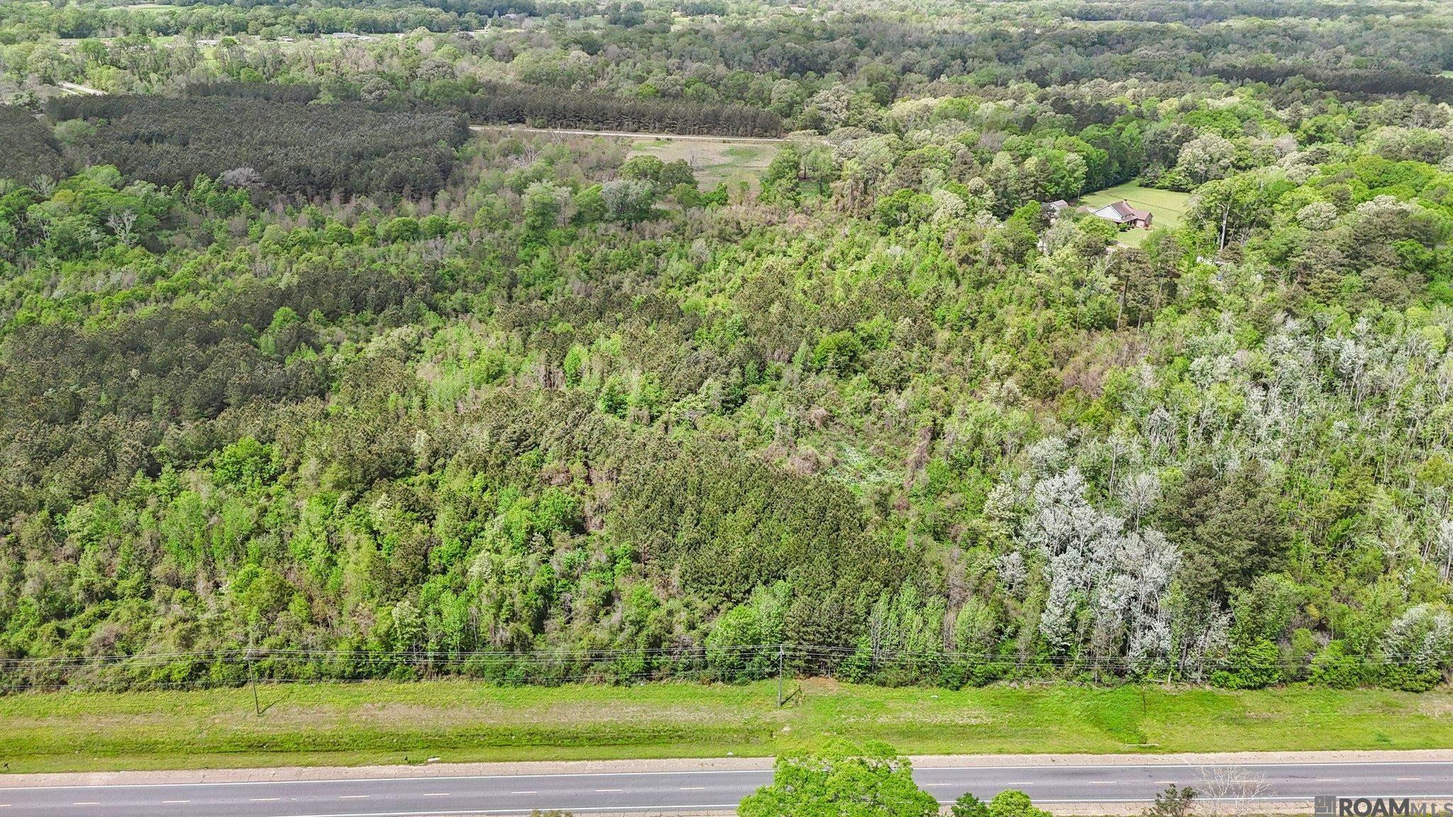 Tbd Plank Rd, Zachary, Louisiana image 4