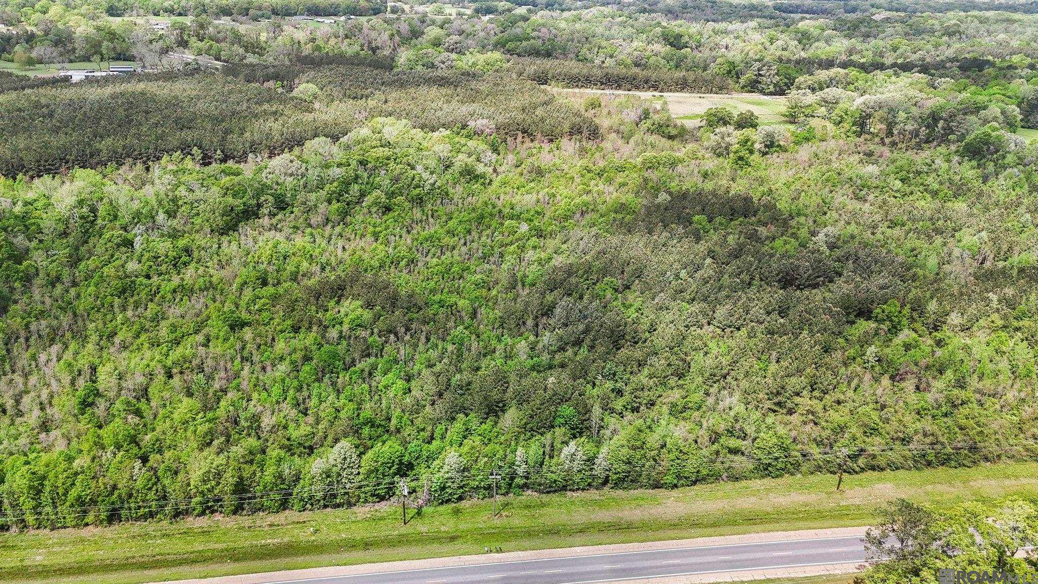 Tbd Plank Rd, Zachary, Louisiana image 2