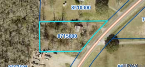 Vacant Land For Sale - 10347 La Hwy 431<br/> St Amant, LA 70774