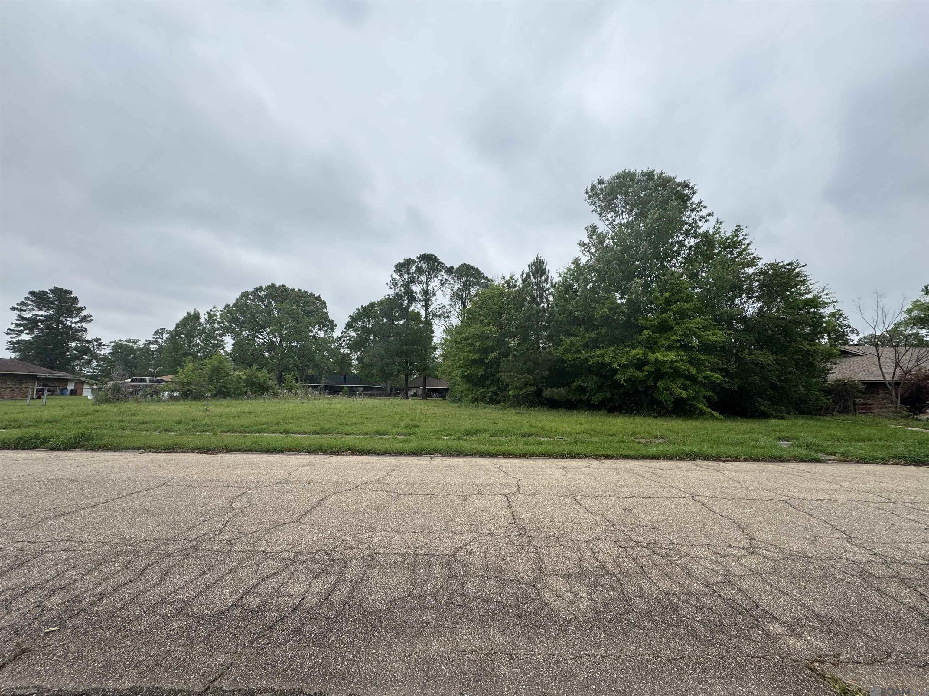 10225 Patricia Dr, Baton Rouge, Louisiana image 2