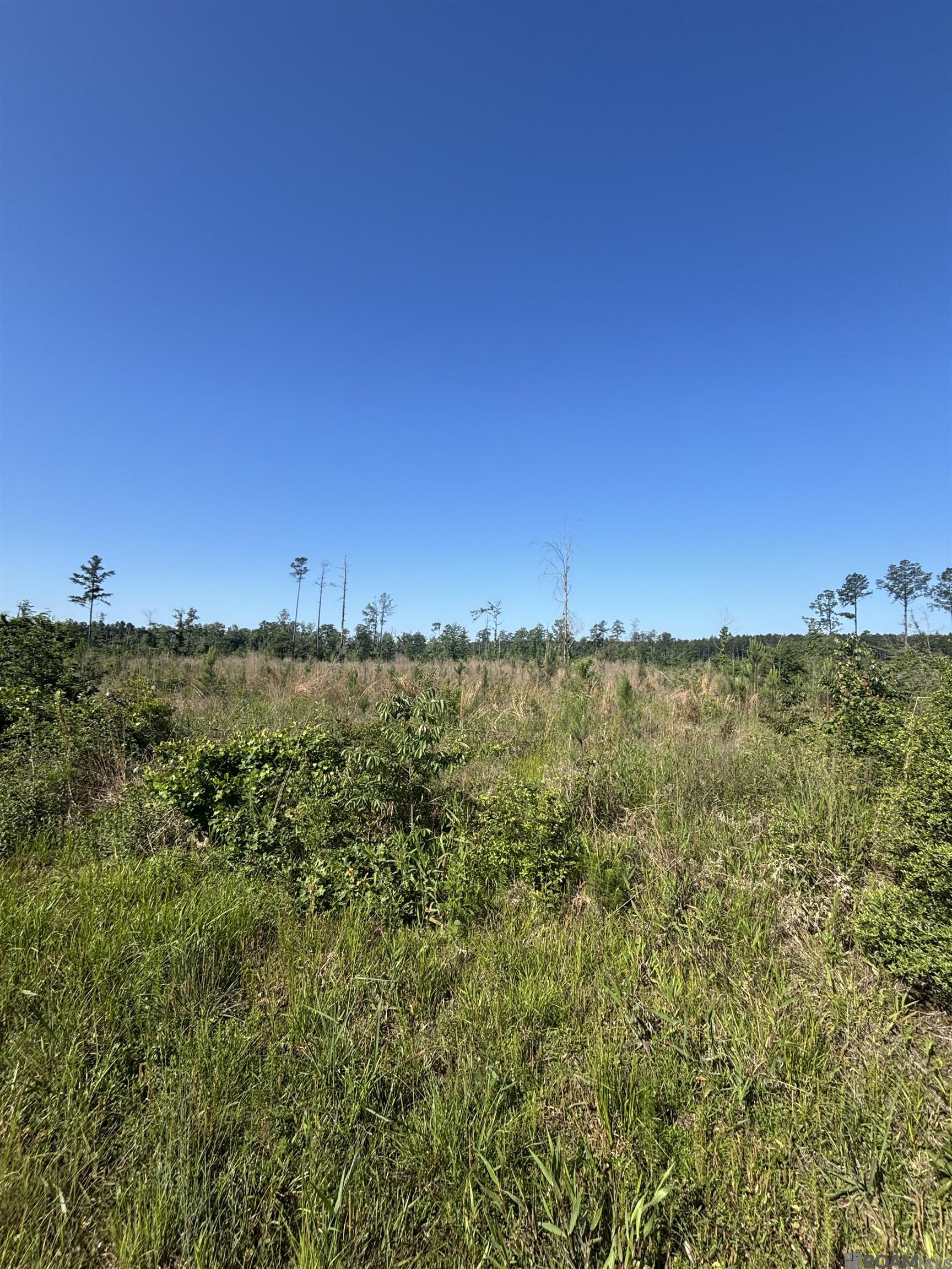 1072 Teal Mcdaniel Rd, Pine Grove, Louisiana image 3