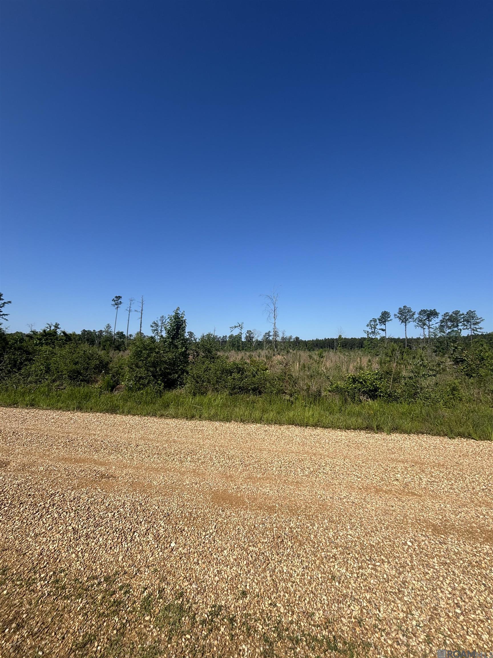 1072 Teal Mcdaniel Rd, Pine Grove, Louisiana image 1