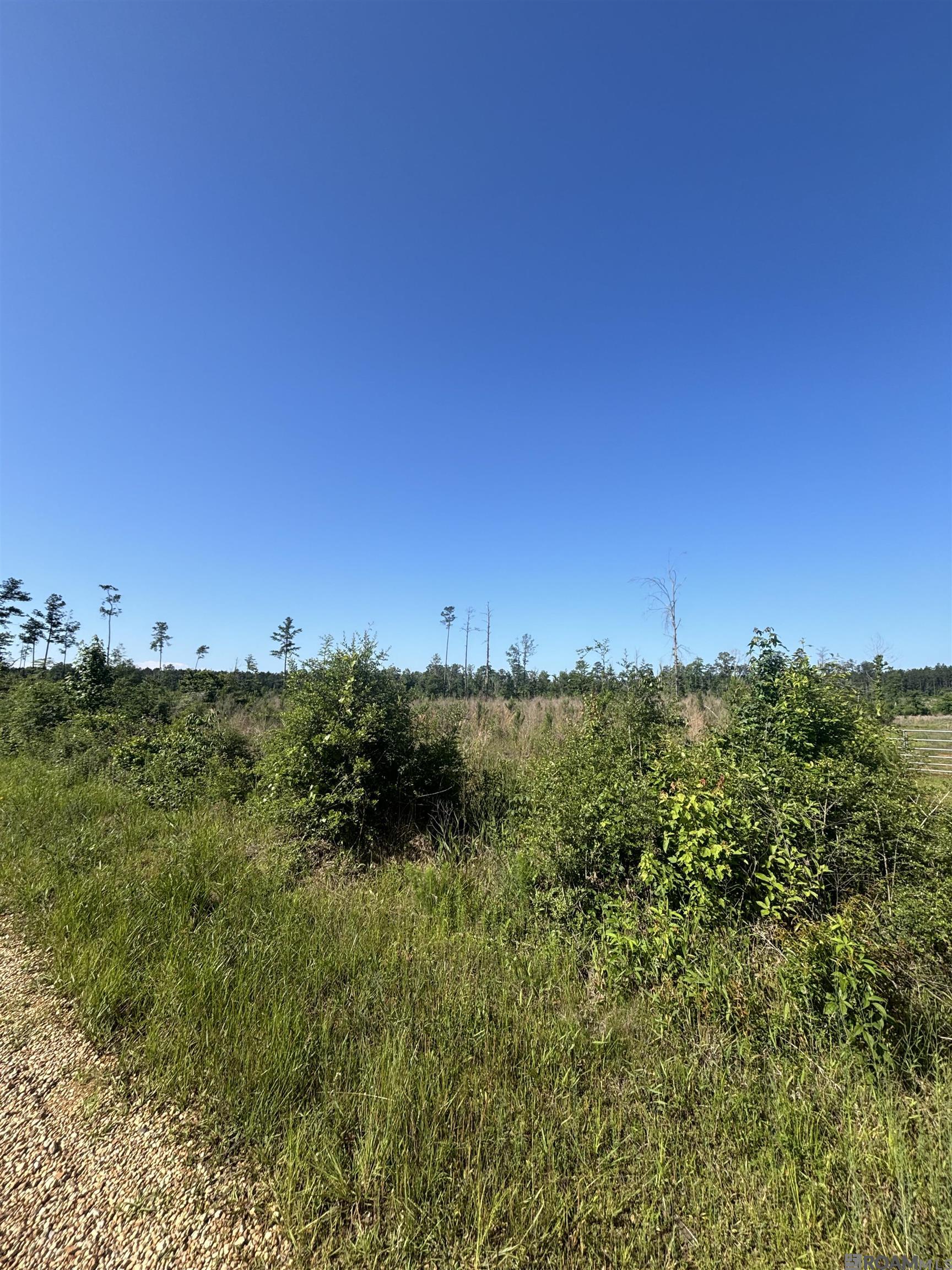 1072 Teal Mcdaniel Rd, Pine Grove, Louisiana image 2