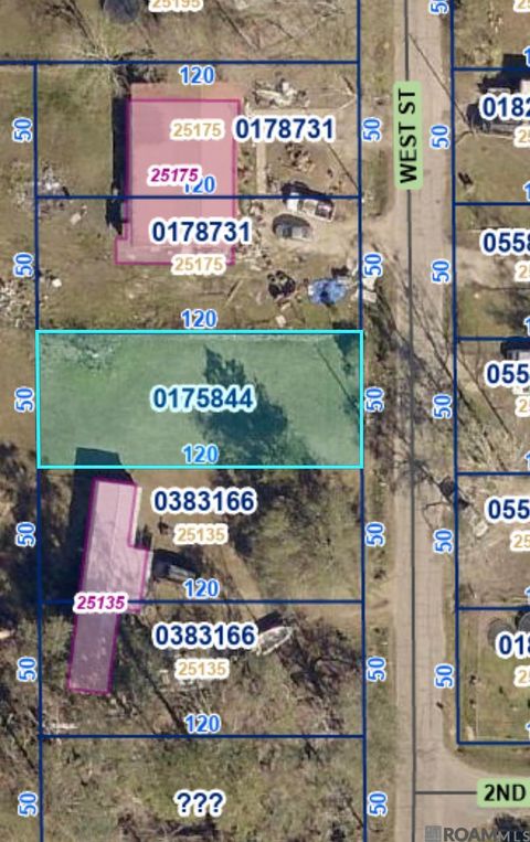 Vacant Land For Sale - 25163 West St<br/> Springfield, LA 70462