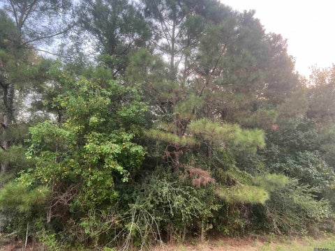 Vacant Land For Sale - LOT 6-A-1 Hepzibah Rd<br/> East Feliciana County, Clinton, LA 70722