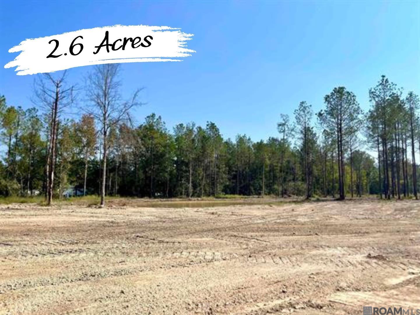 26507 Wagon Wheel Drive, Holden, Louisiana image 1