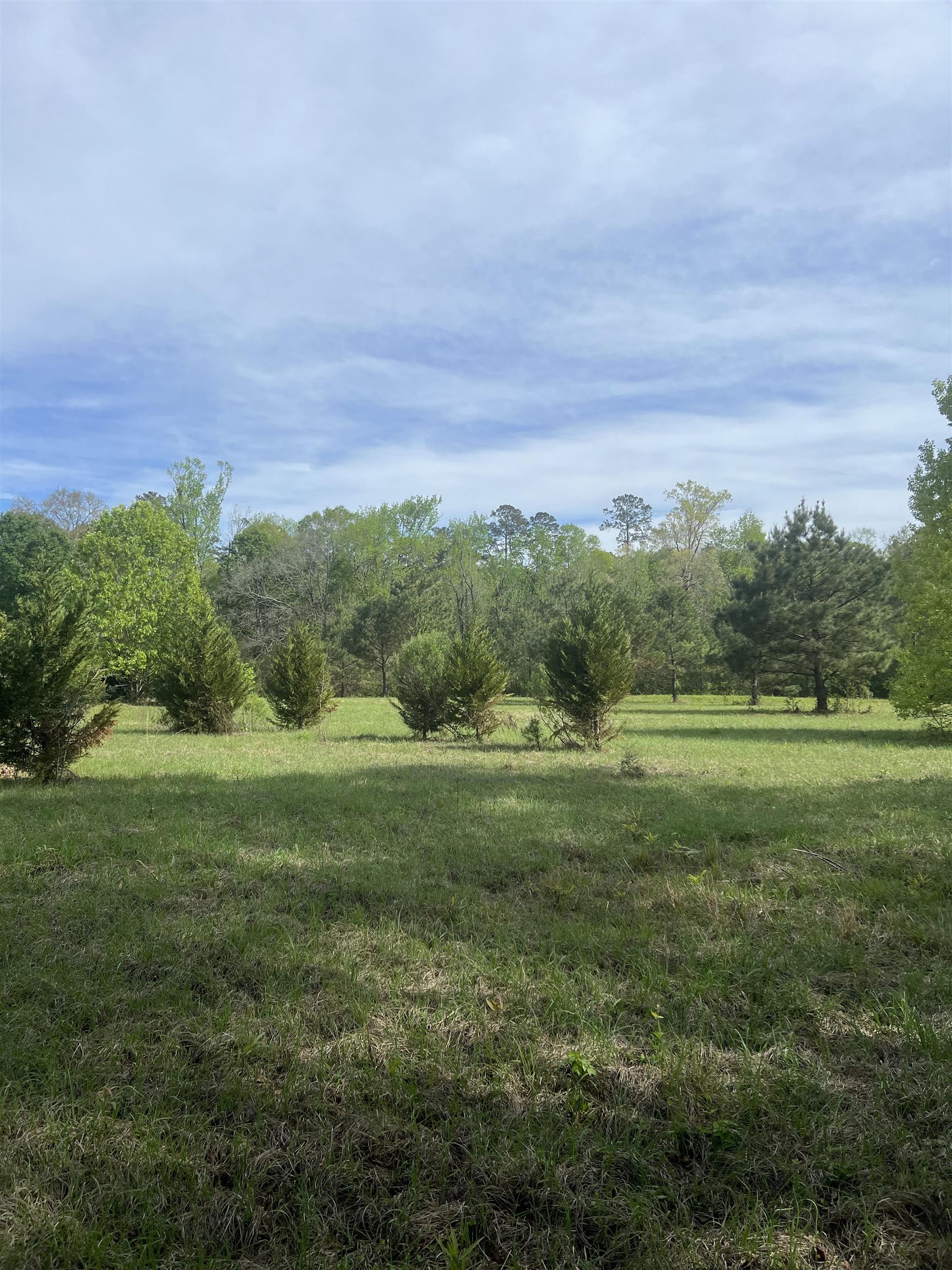 TBD G-2 Idlewild Rd, Clinton, Louisiana image 7