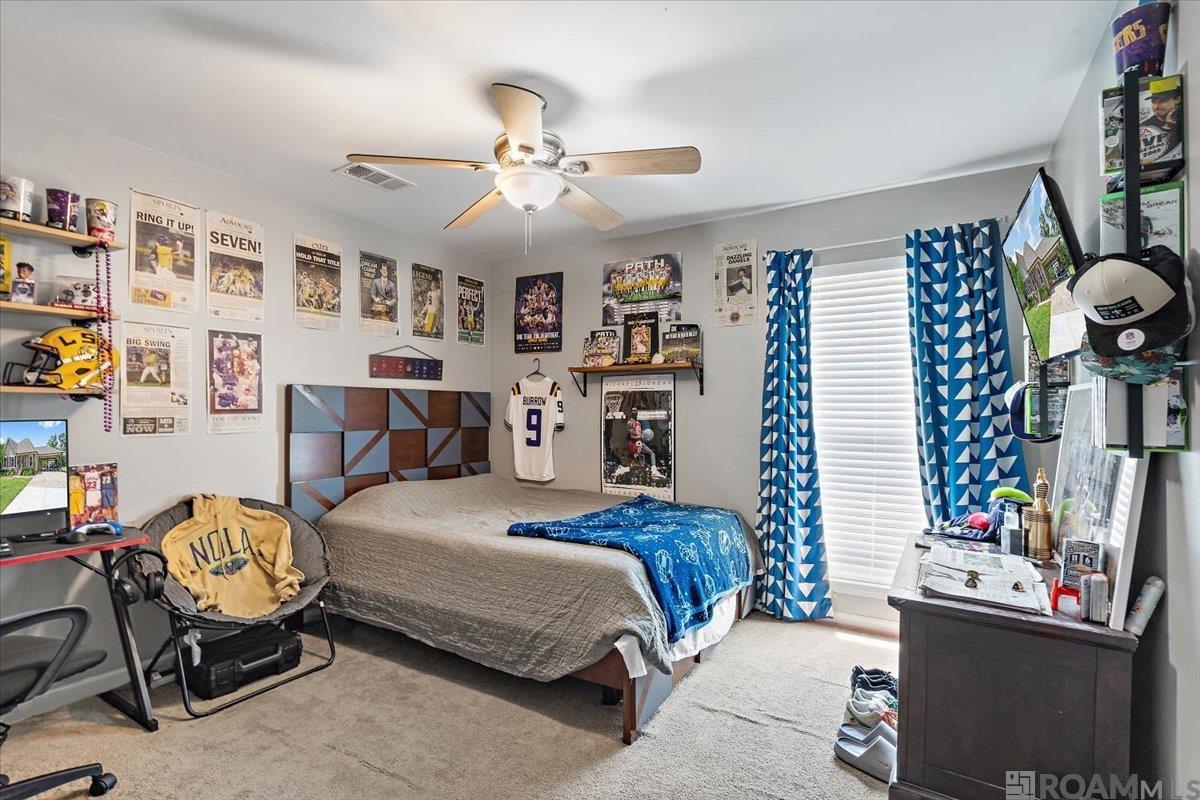 10775 Cheryll Dr, Denham Springs, Louisiana image 11