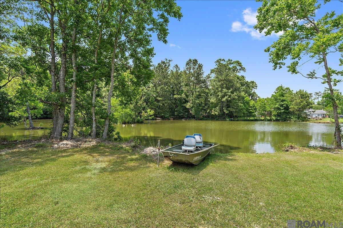 10775 Cheryll Dr, Denham Springs, Louisiana image 3