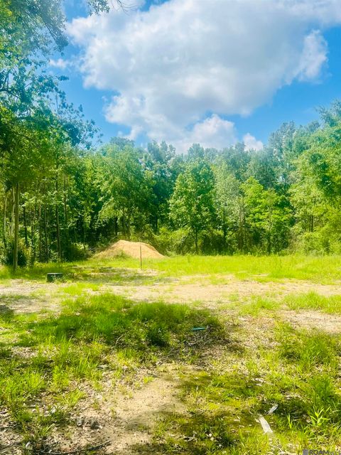 Vacant Land For Sale - 9756 Plank Rd<br/> Clinton, LA 70722